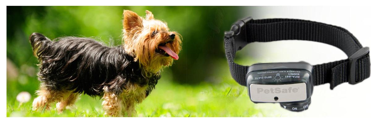 Collares Antiladridos pequeños, comprar collar perro pequeño, venta collares para perros pequeños al mejor precio, online