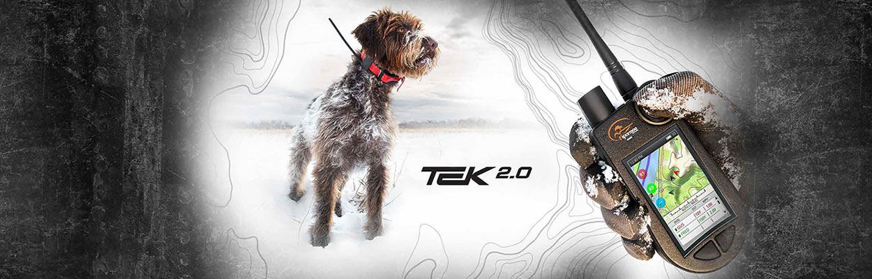 Localizadores Perros Localizadores Perros