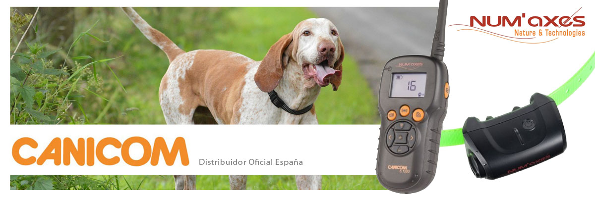 Collar Adiestramiento Localiacion Canicom Geo 1047 Num'axes GPS 15