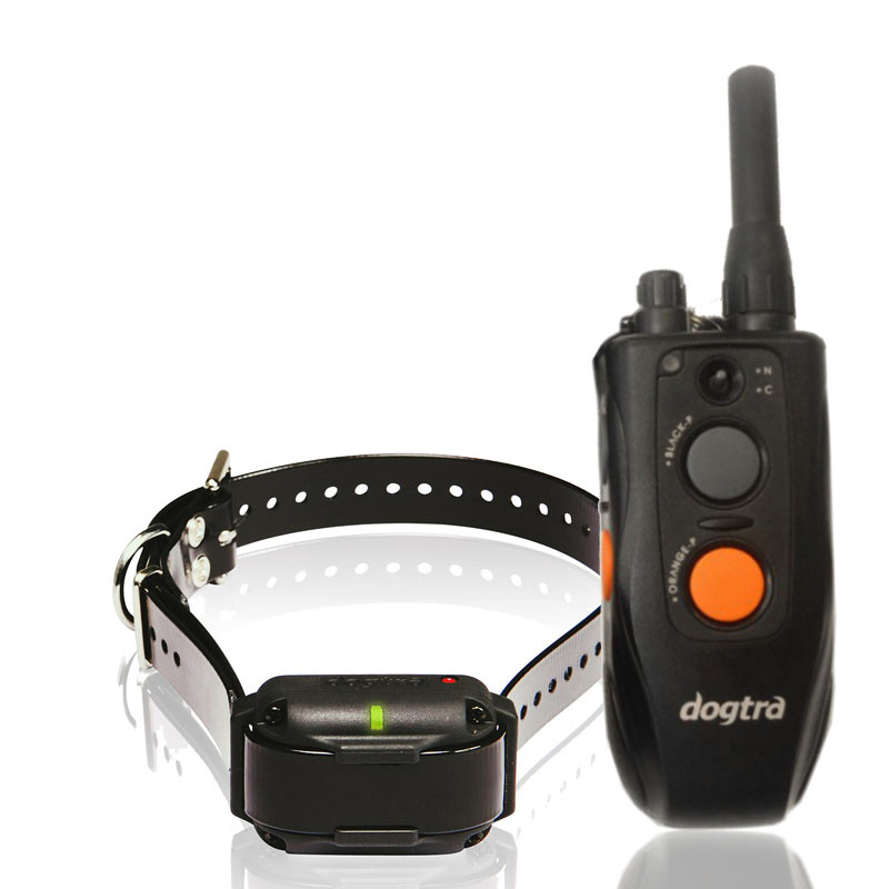 Dogtra 600 hotsell