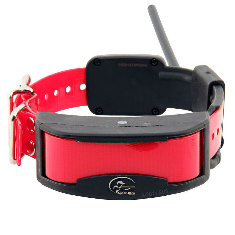 Collares GPS para PERROS de caza