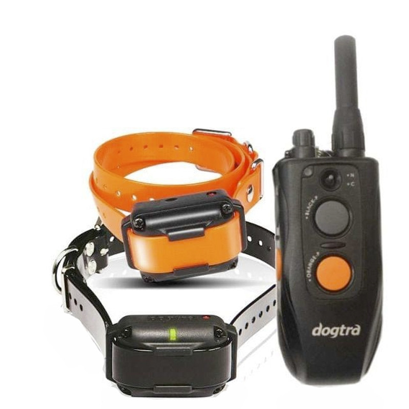Encantada de conocerte burbuja Cabaña Dogtra 602m Dos Collares eléctricos Adiestramiento para dos perros, collar  electrónico doble para adiestrar 2 perros, comprar dogra 600m,precio dogtra  600m