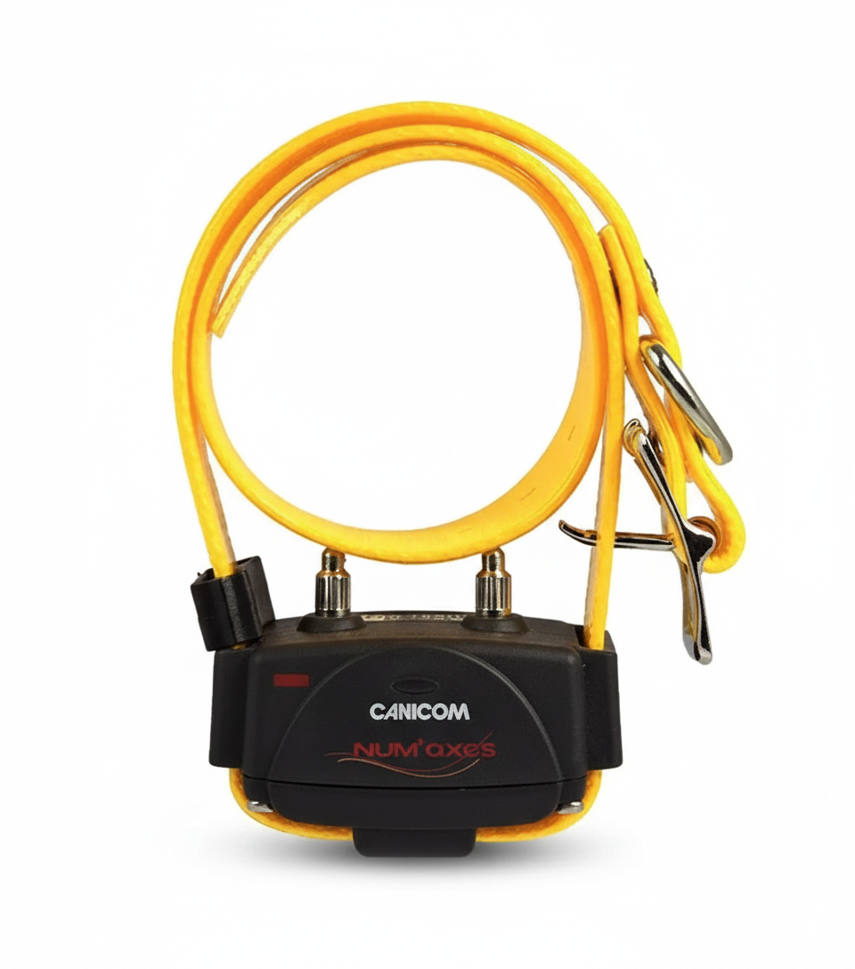 Collar Adicional Canicom 1500 AMARILLO | Receptor 1.5km Original