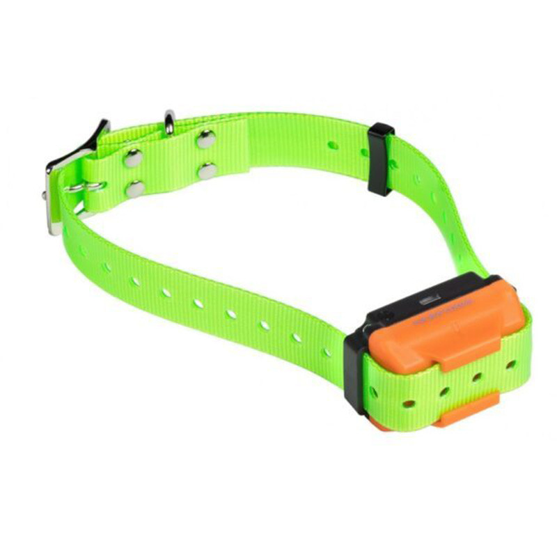 Collar Receptor Canicom R Verde | Recargable | Para R-500, R-800, R-1500