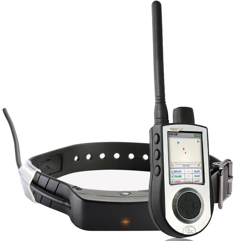 Collar Localizador Perros GPS SportDog Tek 1.0 + Adiestramiento, comprar  Sportdog tek 1.0 adiestramiento