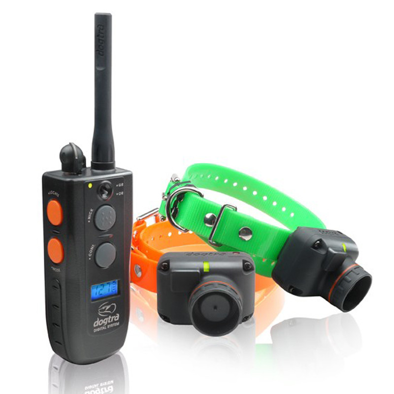 Dogtra 2500 2025