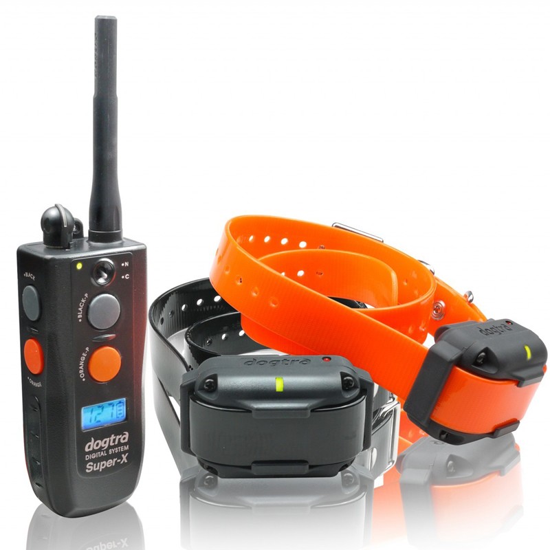 Dogtra 3502 NCP 2 perros Collares eléctricos adiestramiento perros caza  1600m, comprar dogtra 3502 ncp, precio