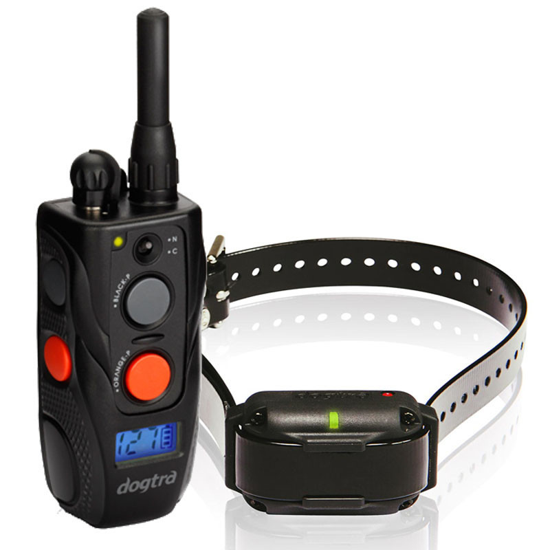 Dogtra 600 discount