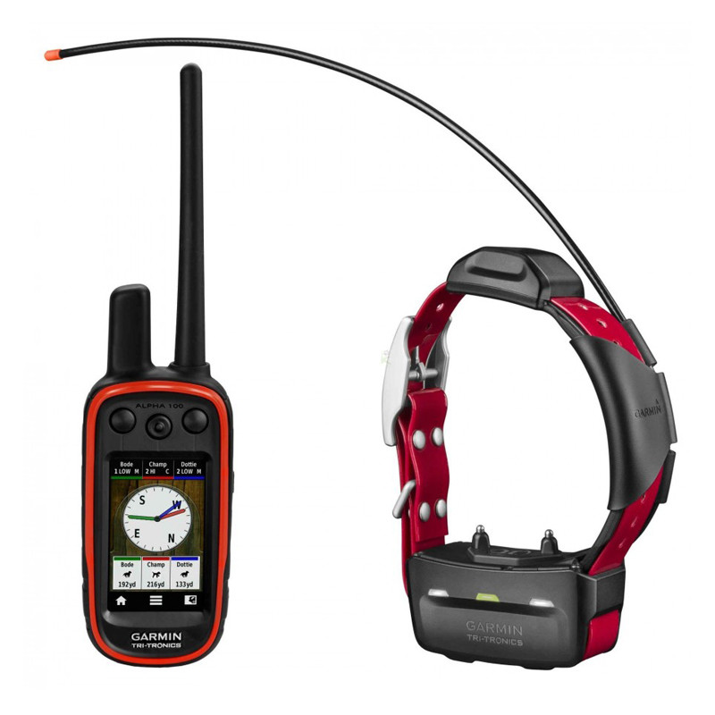 Garmin Alpha ® 100 & TT™15 Collar Localizador GPS perros caza +  Adiestramiento profesional español mejor precio españa