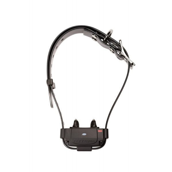 Collar Adicional Canifugue / Canifugue Mix | Compatible FUG1032 y FUG1033