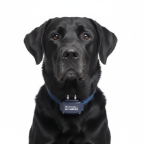 Canicalm Premium collar antiladridos perros num'axes canicom