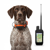 Pack Garmin Alpha 300 + Collar T 20 K | Seguimiento GPS de Alta Velocidad