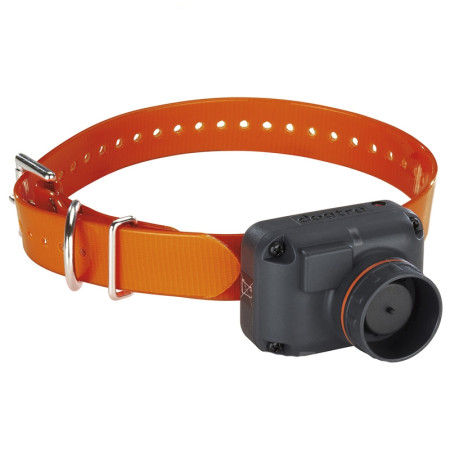 Dogtra STB Collar becada para  perros caza