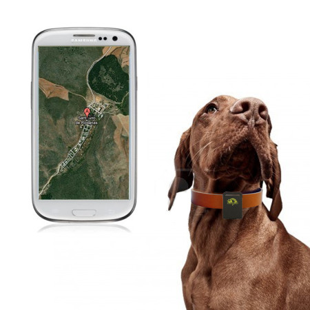 GPS para Perros / Localizador de perros 