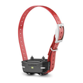 Garmin Collar Adiestramiento Adicional Garmin PT 10 / PRO 70 / PRO 550 o Sport PRO