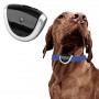 Cámara de video para Perros de caza 8GB para grabar , camara perro al mejor precio, comprar camara para perros, camara video para caza