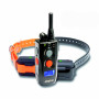 Dogtra 620 ncp Collar Adiestramiento 600mtrs para 2 perros