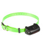 Collar Canicom 5 Verde Claro | Alta Visibilidad y Sumergible 2026