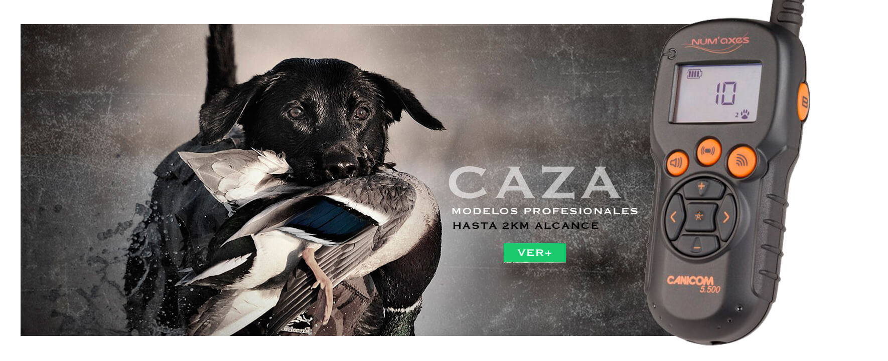 Collares adiestramiento perros de caza