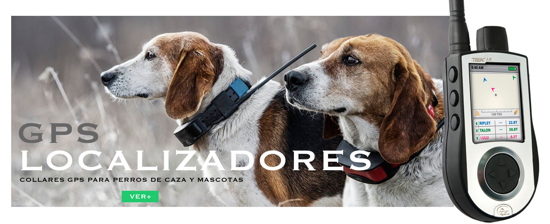 Localizadores GPS para perros